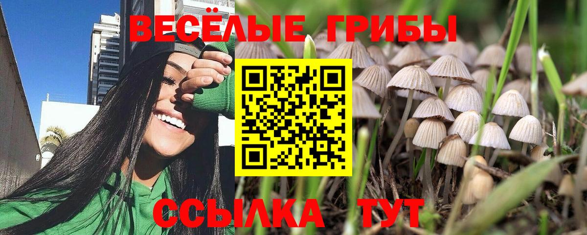 Псилоцибиновые грибы Psilocybe  Вход с VPN  Галлюциногенные грибы прущие грибы  продажа наркотиков  Элиста 